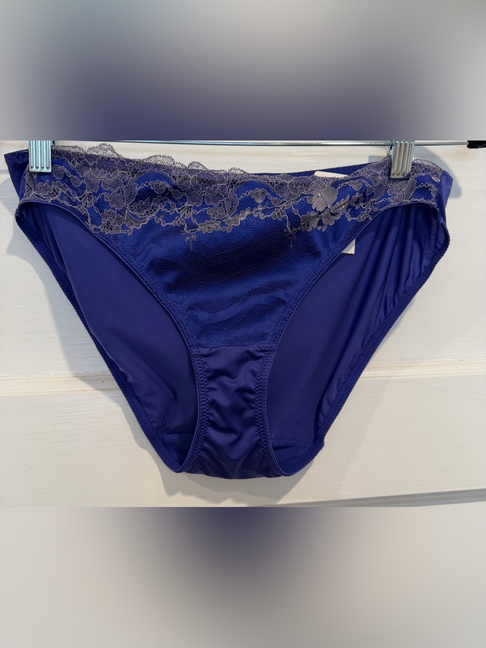 Wacoal DeepBlue Lace-Trim Bikini Panty